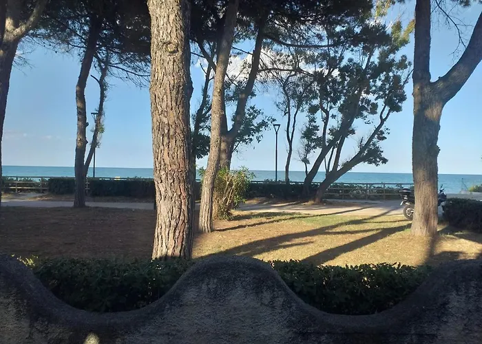 Quadruple For A Totally Relaxing Pineto